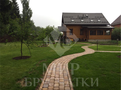 Цвет мустанг